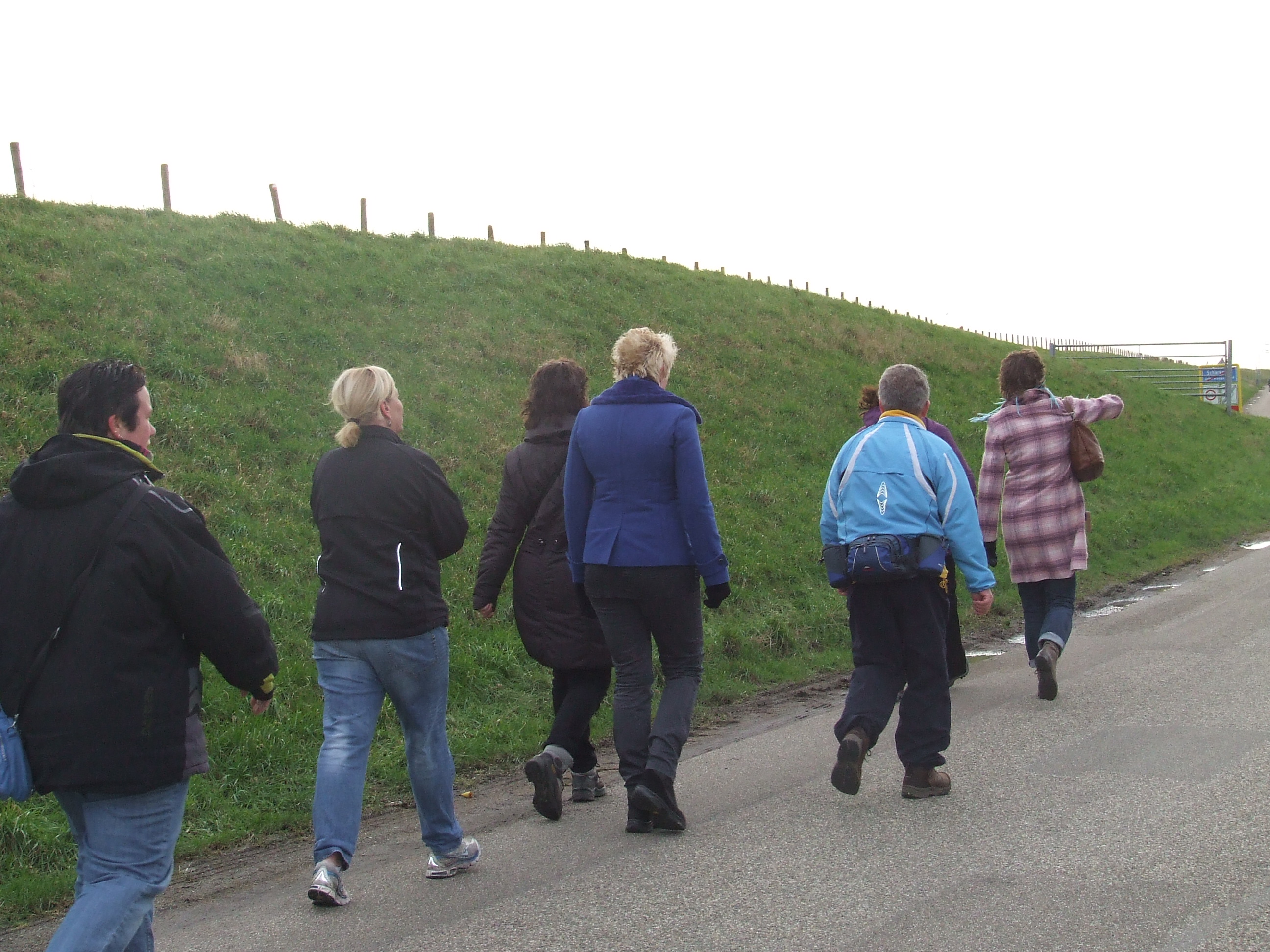 De Wonderen van Wandelen