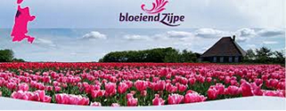 Wandeltip voor het weekend